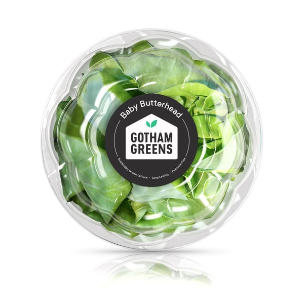 Fresh Vegetables Gotham Greens Baby Butterhead Lettuce hero