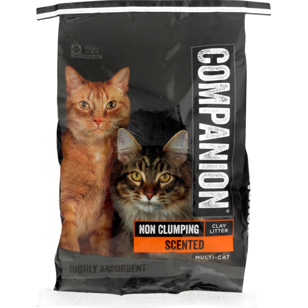 Food Lion Companion Non Clumping Clay Litter Scented Same Day Delivery or Pickup Food Lion