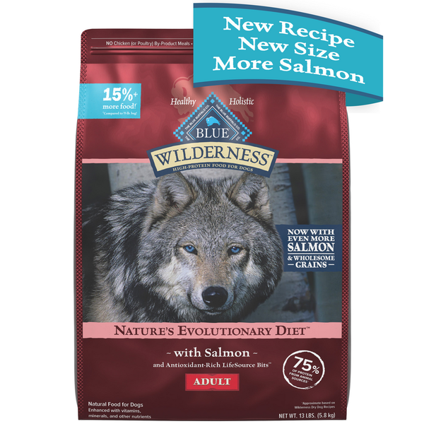 Dog Food & Care Blue Buffalo Wilderness High Protein Dry Dog Food plus Wholesome Grains, Salmon hero