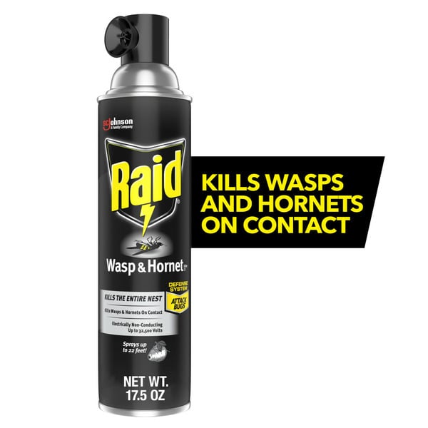 Insect & Pest Control Raid® Wasp & Hornet Killer Insecticide Aerosol Spray hero