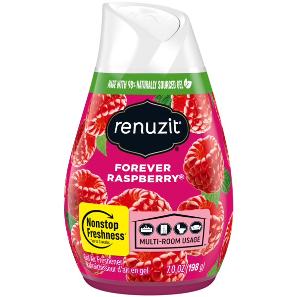 Air Fresheners & Candles Renuzit Gel Air Freshener Forever Raspberry hero