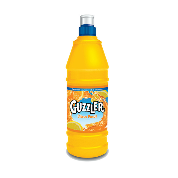 Juice & Nectars Guzzler Citrus Punch Flavored Drink hero