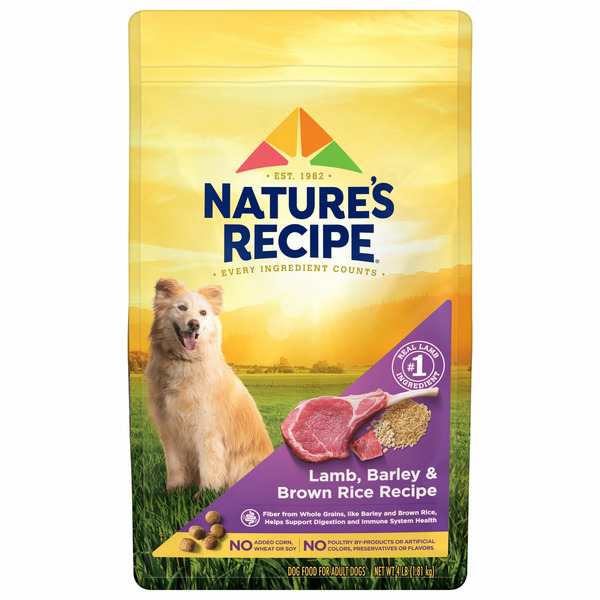 Dog Food Nature's Recipe Dry Dog Food hero