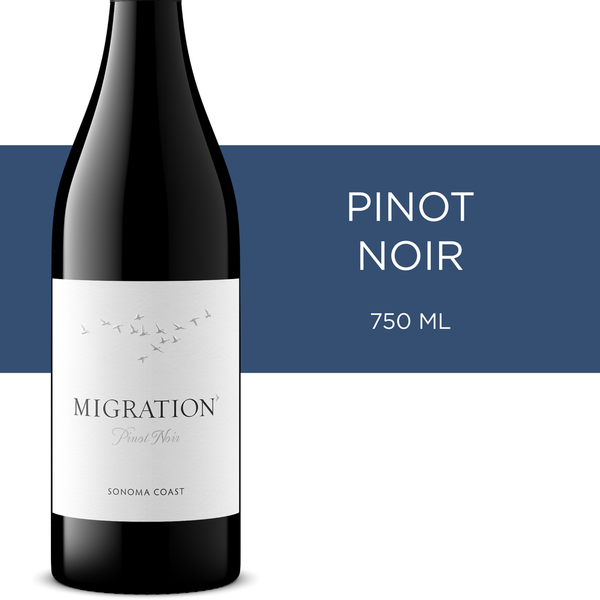 Red Wines Migration Pinot Noir hero