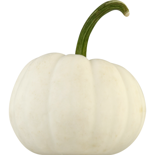 Other Produce Bay Baby Produce Pumpkin, Casper hero