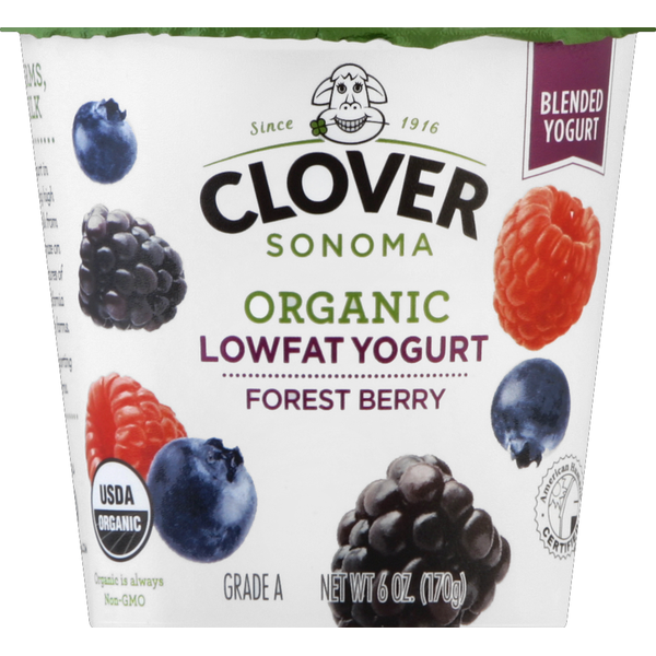 Yogurt Clover Sonoma Organic Lowfat Forest Berry Yogurt hero