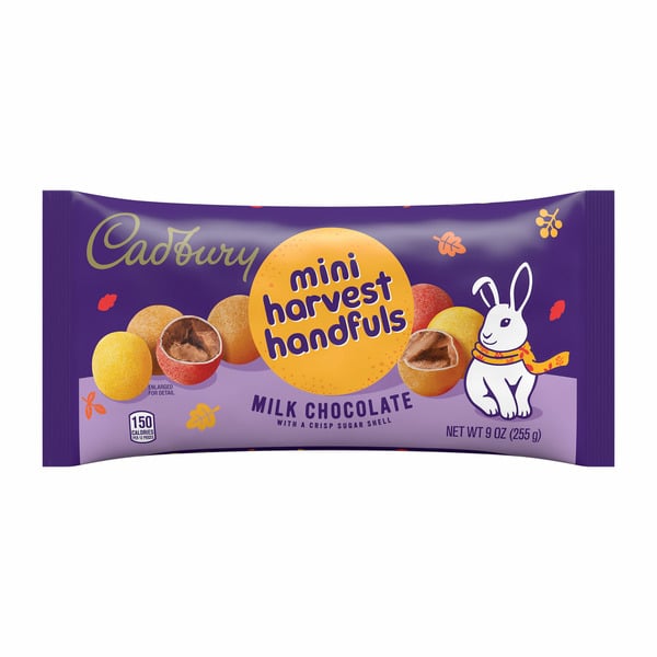 Candy & Chocolate CADBURY Milk Chocolate Halloween Candy hero