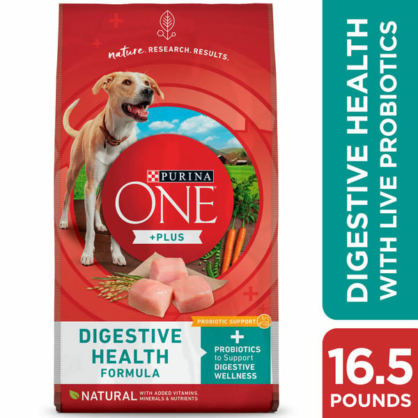 Dog Food & Care Purina ONE Dog Digestive Support, Natural Dry Dog Food, +Plus Digestive Health Formula hero