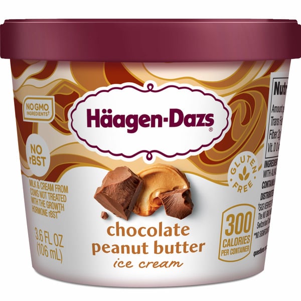 Ice Cream & Ice Haagen-Dazs Chocolate Peanut Butter Ice Cream hero