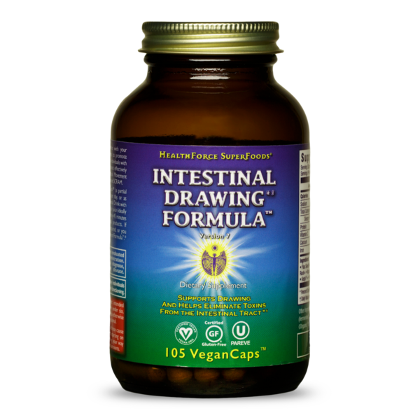 Digestion HealthForce SuperFoods Intestinal Drawing Formula hero