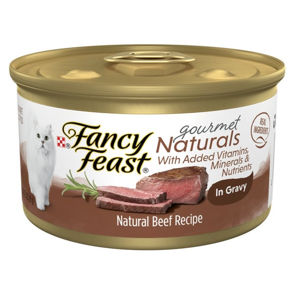 Cat Food & Care Purina Fancy Feast Wet Cat Food Natural Gourmet Naturals Beef Recipe in Wet Cat Food Gravy hero