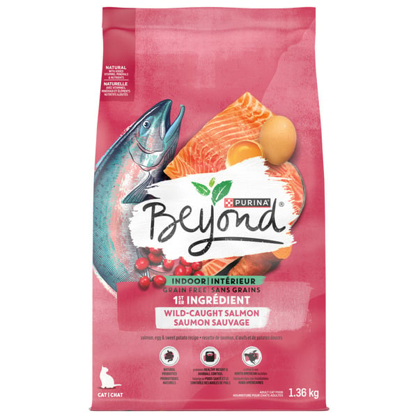 Cat Food & Care Beyond Grain Free Indoor Cat Wild-Caught Salmon, Egg & Sweet Potato Recipe hero