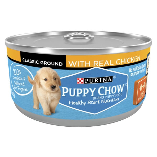 Purina Puppy Chow High Protein Pate Wet Puppy Food, With Real Chicken hero