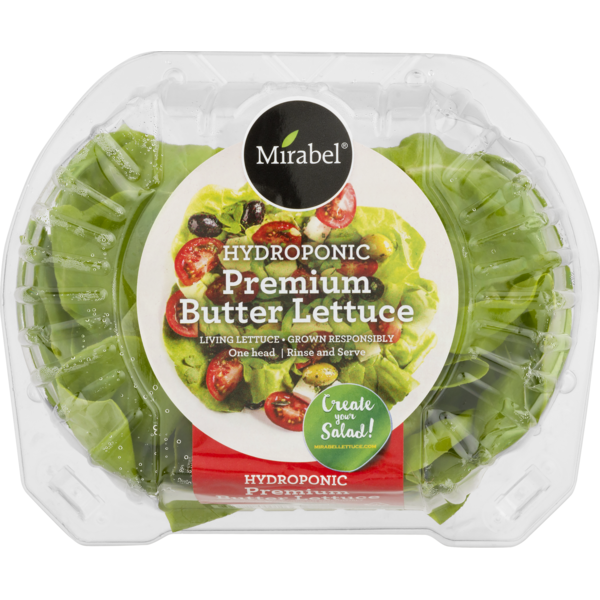 Fresh Vegetables Mirabel Butter Lettuce Premium Hydroponic, Carton hero