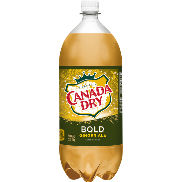 Soft Drinks Canada Dry Bold Ginger Ale hero