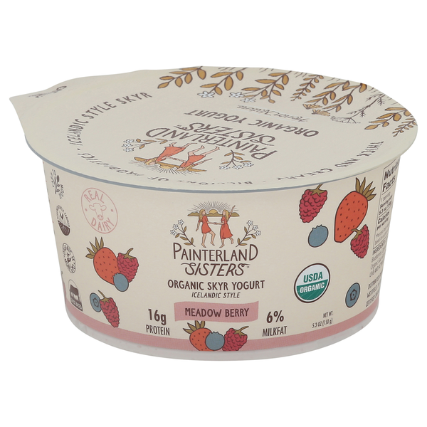 Painterland Sisters Skyr Yogurt, Meadow Berry, Organic, 6% Milkfat, Icelandic Style hero