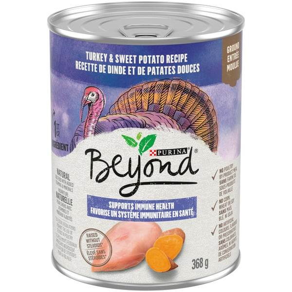 Dog Food & Care Beyond Turkey & Sweet Potato Recipe hero