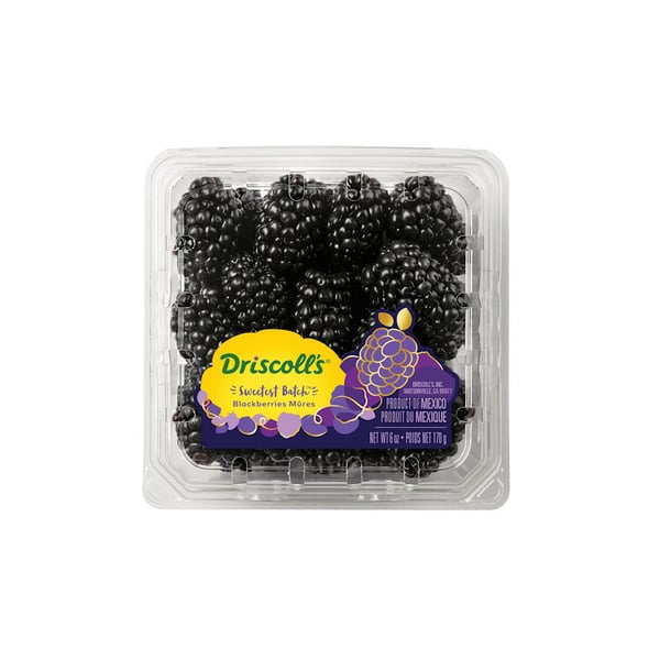 Packaged Vegetables & Fruits Driscoll's Sweetest Batch Blackberries hero