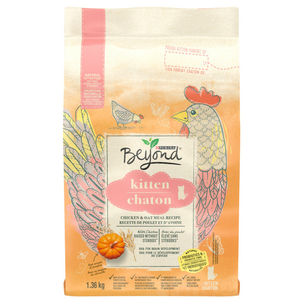 Cat Food & Care Beyond Kitten Chicken & Oat Meal Recipe, Dry Kitten Food hero