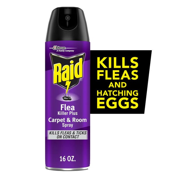 More Household Raid® Flea Killer Plus Carpet & Room Spray Insecticide Aerosol Spray hero