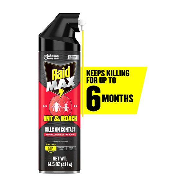 Pest Control Raid® MAX Ant and Roach Killer Insecticide Aerosol Spray hero