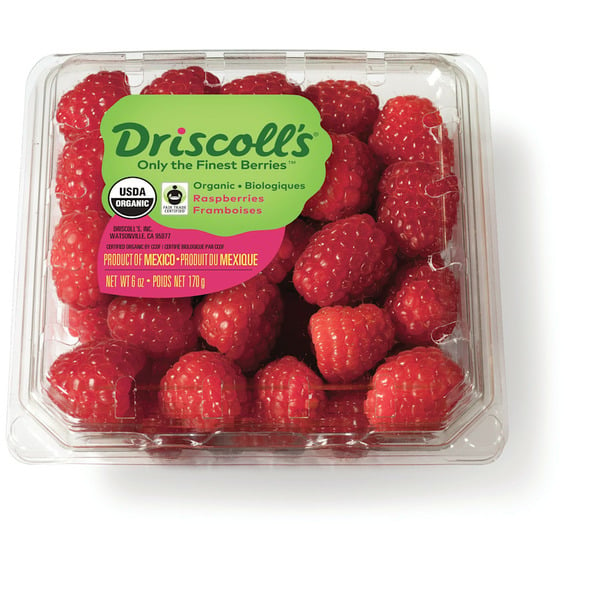 Fresh Fruits Driscoll's Organic Raspberries hero