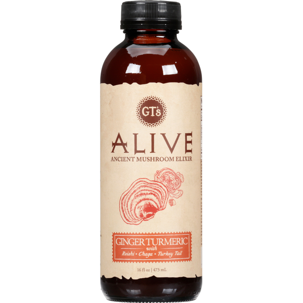 Refrigerated GT's Living Foods Ancient Mushroom Elixir, Ginger Turmeric hero