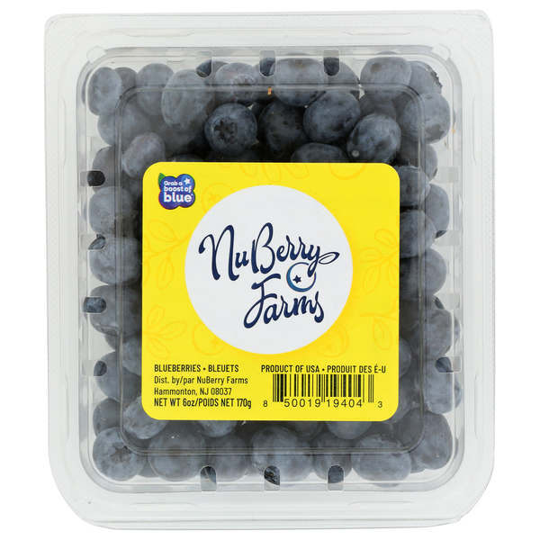 Fresh Fruits Nuberry Farms Blueberries hero