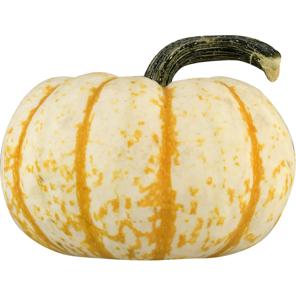 Other Produce Bay Baby Produce Pumpkin, Tiger Stripe hero