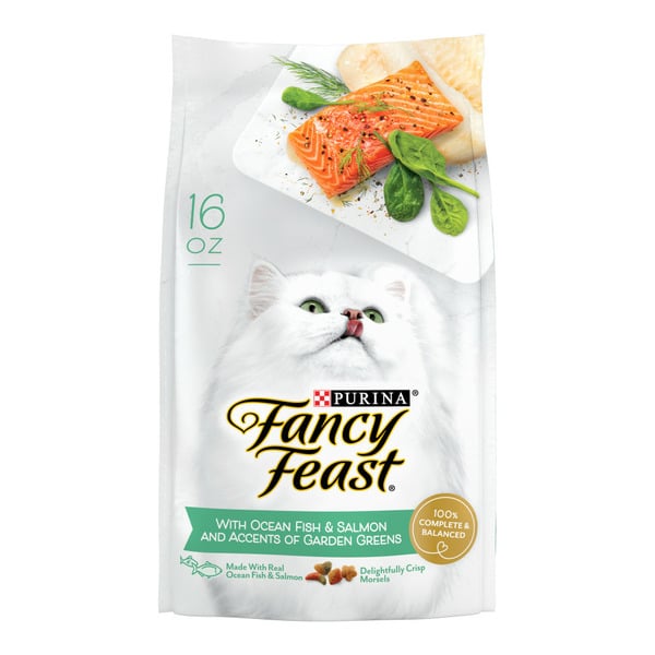 Cat Food & Care Purina Fancy Feast Dry Cat Food with Ocean Fish and Salmon hero