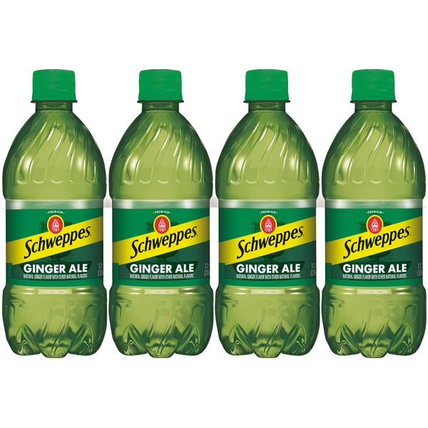 Soft Drinks Schweppes Ginger Ale hero