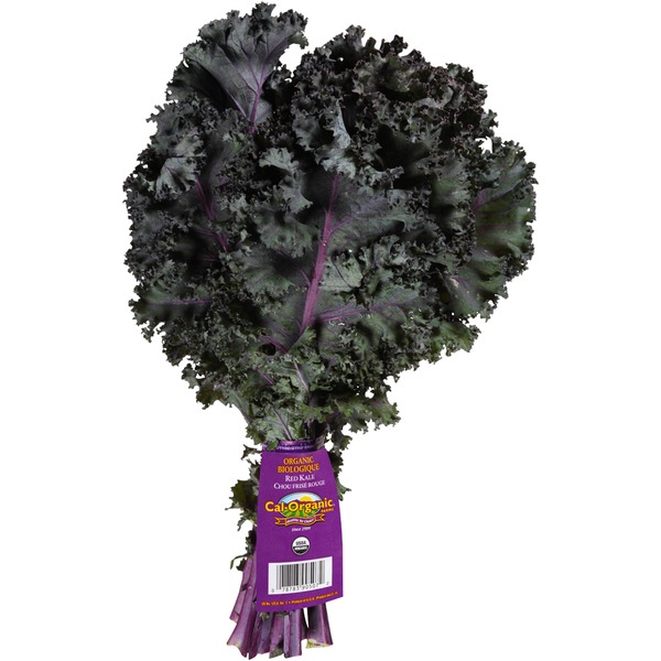 Fresh Vegetables Organic Red Kale Bunch hero