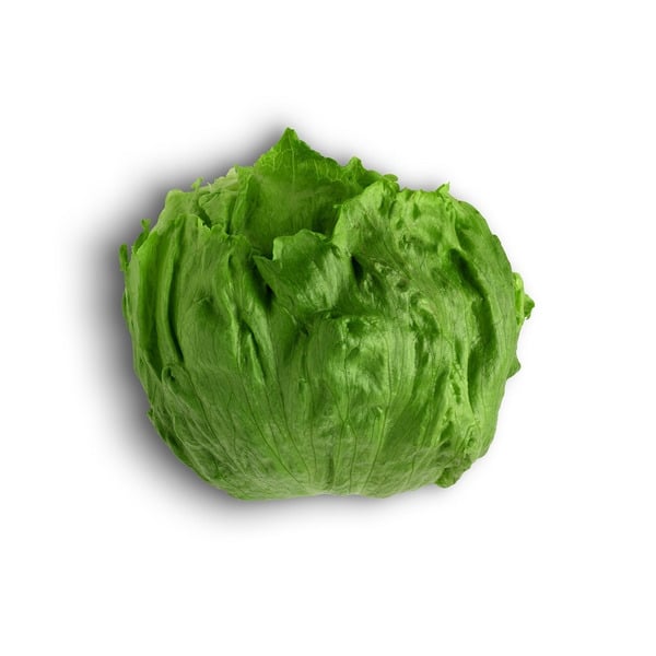 Fresh Vegetables Nature's Reward  Iceberg Lettuce hero