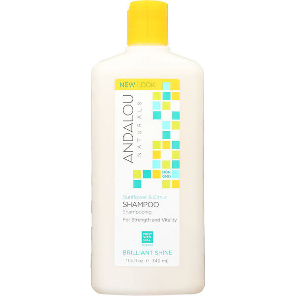 Body Care | Lotion, Sunscreen Andalou Naturals Shampoo hero