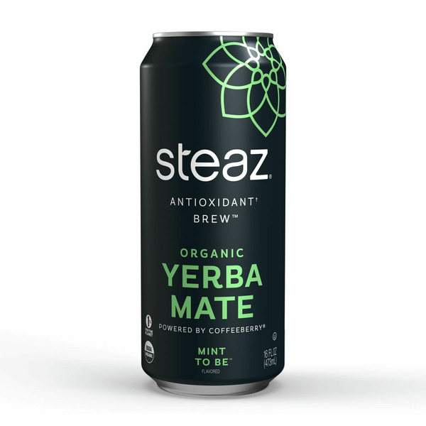 Tea Steaz Yerba Mate Mint to Be hero