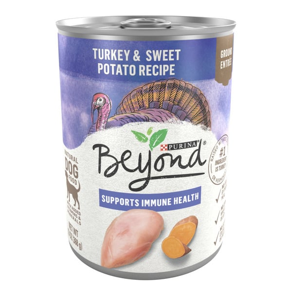 Dog Food & Care Purina Beyond Turkey and Sweet Potato Grain Free Wet Dog Food Ground Entree hero