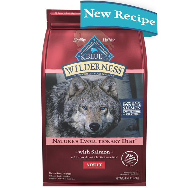 Dog Food & Care Blue Buffalo Wilderness High Protein Dry Dog Food plus Wholesome Grains, Salmon hero