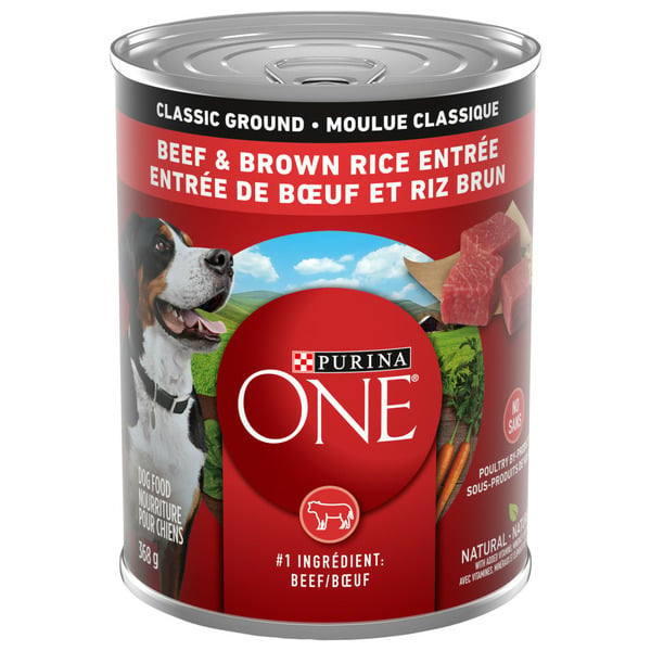 Dog Food & Care Purina ONE Classic Ground Beef & Brown Rice Entrée hero