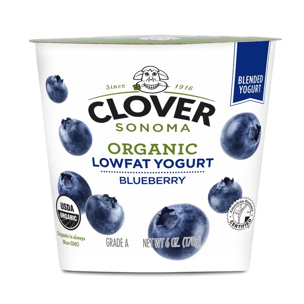 Yogurt Clover Sonoma Organic Lowfat Blueberry Yogurt hero