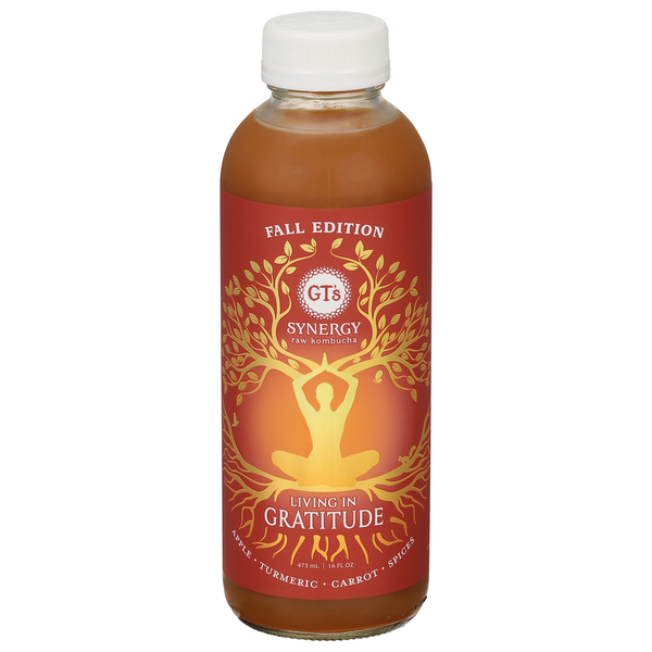 Kombucha GT's Living Foods Kombucha, Raw, Living in Gratitude hero