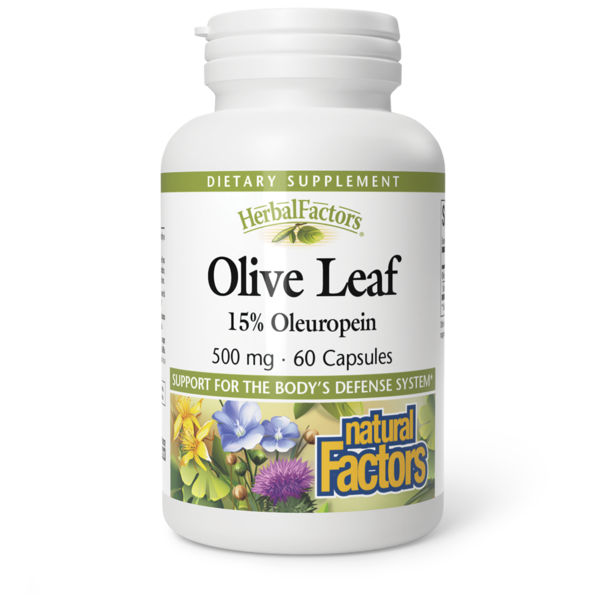 Dietary Supplements Natural Factors Olive Leaf Extract hero