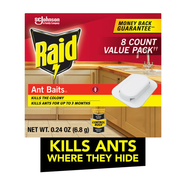 More Household Raid® Ant Baits Indoor Ant Killer, 8 Baits hero