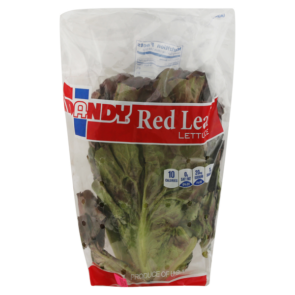 Fresh Vegetables Dandy Lettuce, Red Leaf hero