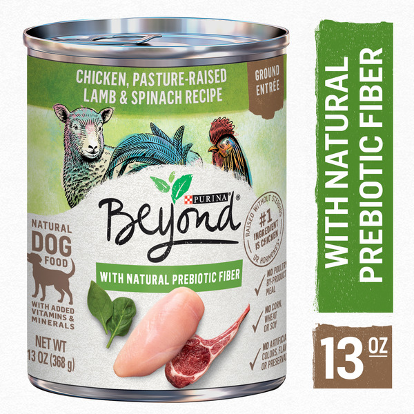 Dog Food & Care Purina Beyond Grain Free, Natural Ground Entree Wet Dog Food, Grain Free Chicken, Lamb & Spinach Recipe hero