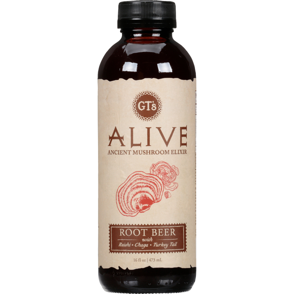 Tea GT's Living Foods Ancient Mushroom Elixir, Root Beer hero