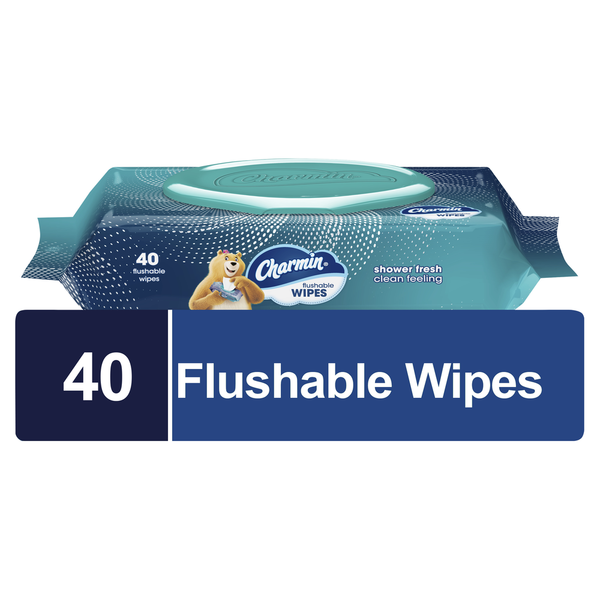 Paper Goods Charmin Flushable Wipes hero