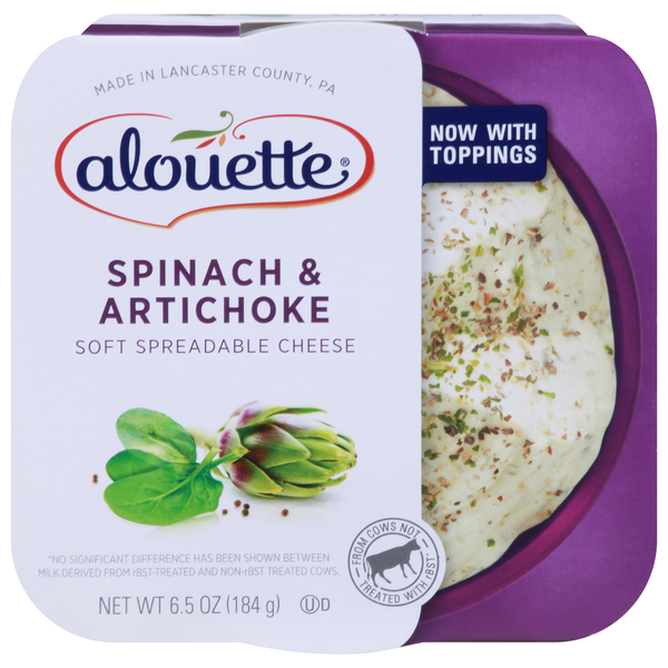 Specialty Cheese Alouette Soft Spreadable Cheese, Spinach & Artichoke hero