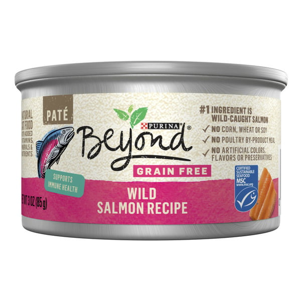 Wet Cat Food Purina Beyond Wild Salmon Recipe Grain Free Wet Cat Food Pate hero