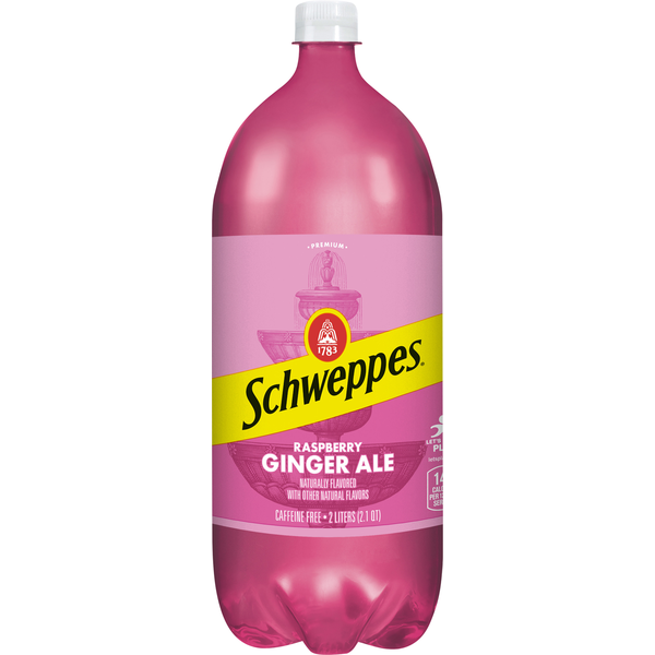 Soft Drinks Schweppes Raspberry Ginger Ale hero