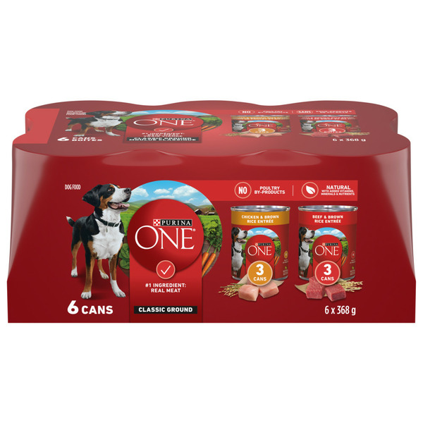 Dog Food & Care Purina ONE Classic Ground Variety Pack Chicken & Beef hero